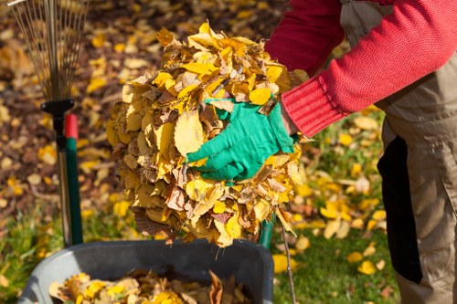 A person wearing green gloves and a red sweater is shown collecting a large bundle of fallen yellow and brown autumn leaves. The bundle consists of various leaf shapes and sizes, slightly crumpled, with some leaves partially turned over. The individual is positioned outdoors on a grassy area with scattered leaves on the ground, indicative of a garden or park setting often seen in residential areas like Parsons Green in London. In the background, a garden rake with a green handle and red grip is visible leaning against the side of a black wheelbarrow, which is partially filled with additional leaves. This scene depicts a typical leaf clearing activity associated with garden waste management, relevant to rubbish removal services such as those provided by Office Clearance Parsons Green, who handle garden and general waste disposal in the local area. The lighting suggests natural daylight, highlighting the vibrant autumnal colors of the leaves and the outdoor environment.